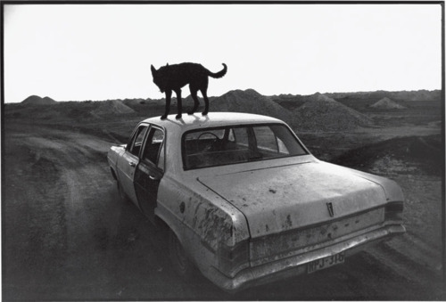 the-night-picture-collector:    Wim Wenders, Dusk in Coober Pedy, 1978  