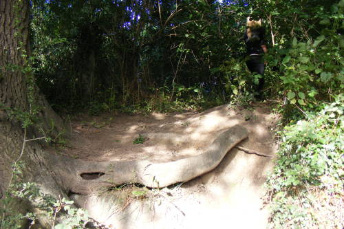 koala-oasis:  idk where this is but i thought it was quite pretty……and i found my friend in the back
