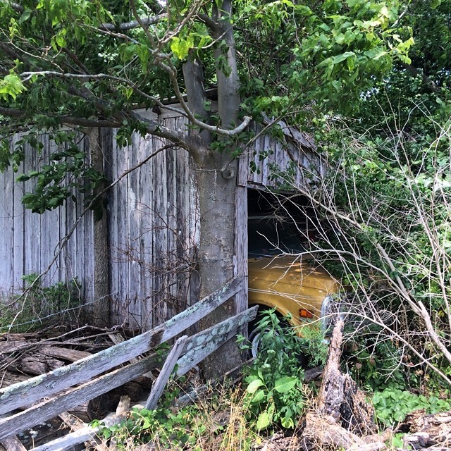 Old Garage and Old Chevy. Greetings from Kentucky. #greetingsfrom #kentucky #usa #travel #destruction #chevy #trees