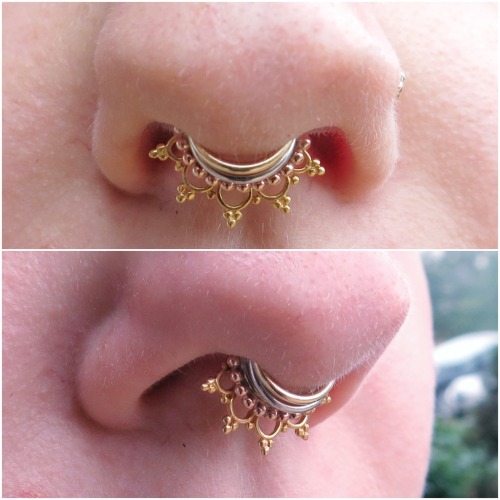 I did not do her piercing, but I did help cultivate her gorgeous septum stack!Featuring gold jewelry