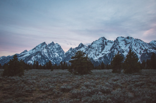 automaticallyoutstanding: Wyoming