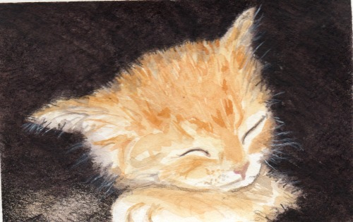 i-found-a-paintbrush - I found a paintbrush...