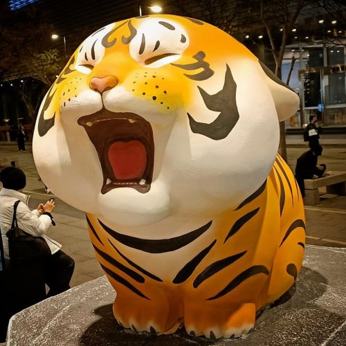 #Chonky #tiger celebrating #LunarNewYear! #adorablehttps://www.instagram.com/p/CY6NeNWL9H5/?utm_me