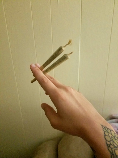 dreamy-babydoll:  2high2care 