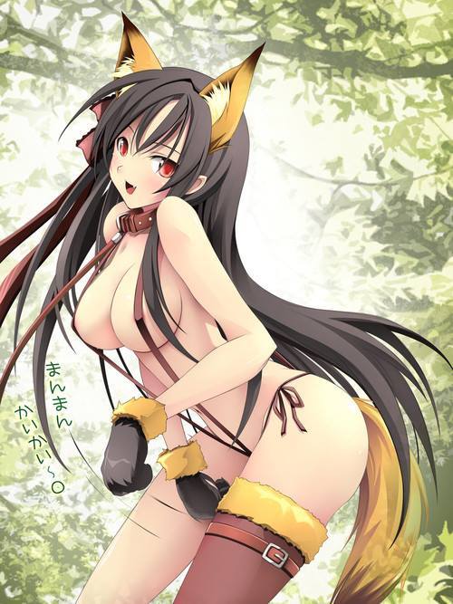Sexy catgirls and stuff