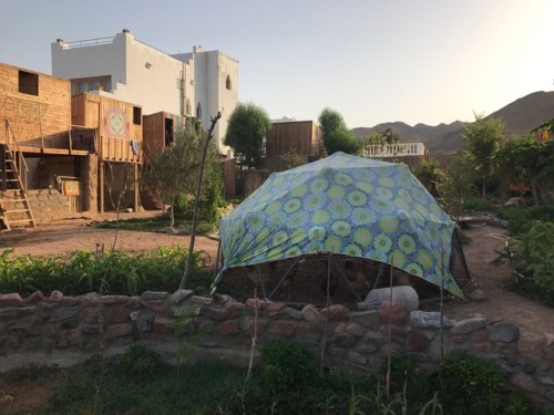 Geodesic domes for chickens