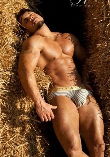stefanpoison:  sportshotmen:  http://sportshotmen.tumblr.com  Nel pagliaio sexyyyyyy