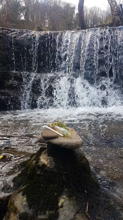 iliketogethigh420: budbagsandgladrags: Lovely walk down the waterfalls with my new pipe have a great