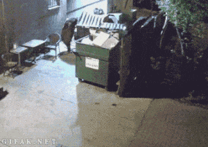 m–ood:  bear stealing the whole dumpster 