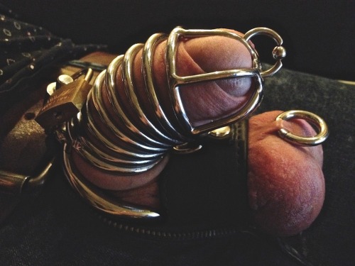 my-kinky-me: My current setup: dick locked (into my third week now), balls stretched and both pierc