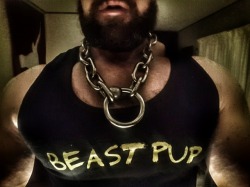 beastpup:The beastpup tank.