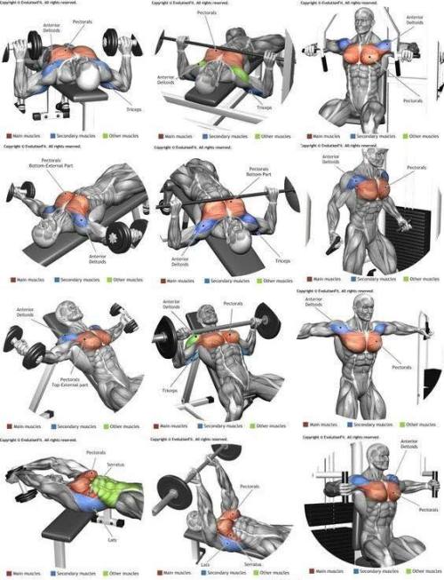 sashacoki:    Gym exercises   porn pictures