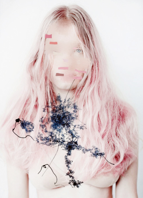 bienenkiste:  Photography + artwork by Bernhard Handick