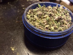 thc-kittyy:  inhalehapppiness:  My grinder