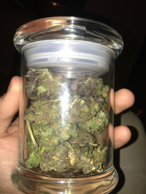 jordanafriedman:  Pizzurp 