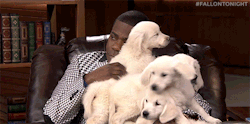 Fallontonight:  Jimmy And Tracy Morgan Compete For Puppies In The Trivia Game “Pup