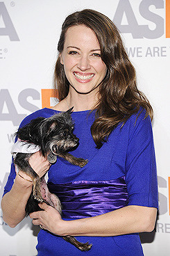 dailyamyacker:  Actress Amy Acker attends ASPCA’S 18th Annual Bergh Ball honoring  Edie Falco and Hilary Swank at The Plaza Hotel on April 9, 2015 in New  York City.