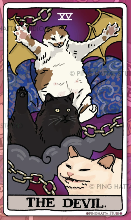 catsbeaversandducks:Tarot Cats Chonky Goods by Ping Hatta Studio