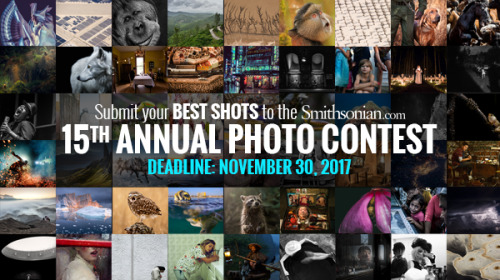 Do you have what it takes to capture a prize-winning shot? Enter Smithsonian.com&rsquo;s 15th Annual