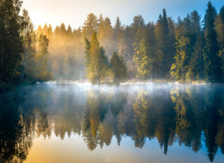 te5seract:  Forest Pond & Morning of