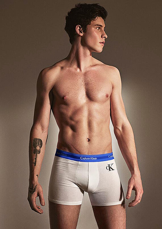 zac efron's bf — Shawn Mendes for Calvin Klein Underwear