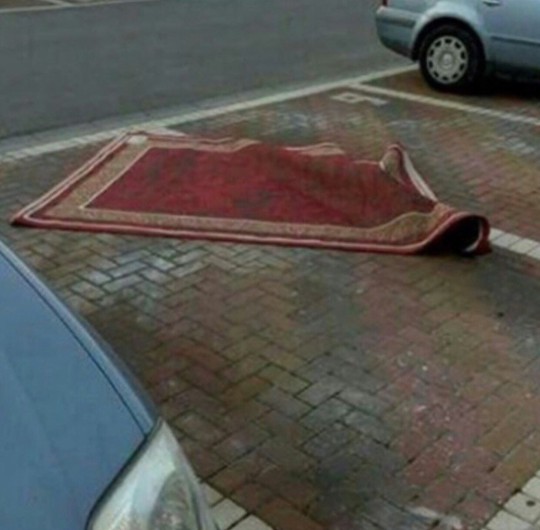 Aladin ayer llegó pedo