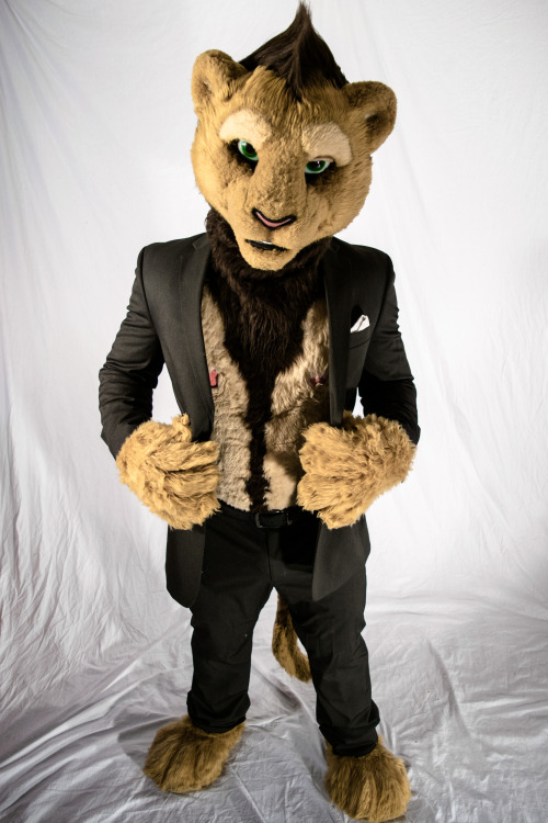 liondogari:Business lion has a proposition for you….