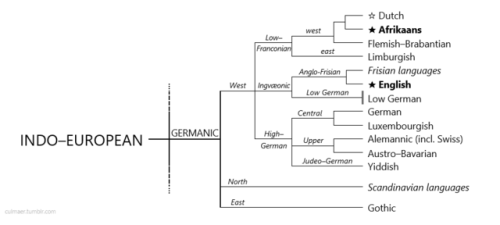 pactmagic: culmaer: ▲▼▲ THE LANGUAGES OF SOUTH AFRICA ▲▼▲ AND THEIR RELATIONSHIPS TO OTHER LANG