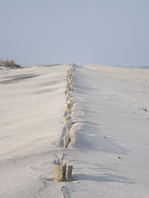 twolightsabovethesea:this is one of my favorite photos from last month’s trip to Assateague