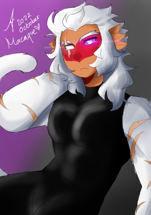 Style Practice