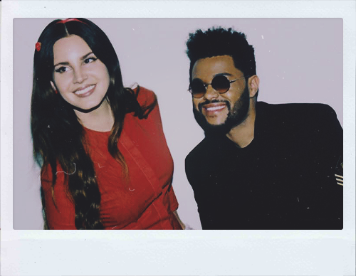 skyferreiras:starboy x stargirl