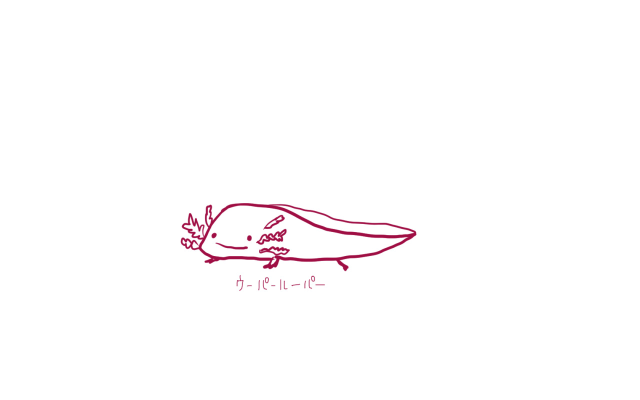 ウーパールーパー Explore Tumblr Posts And Blogs Tumgir ウーパールーパー Explore Tumblr Posts And Blogs Tumgir