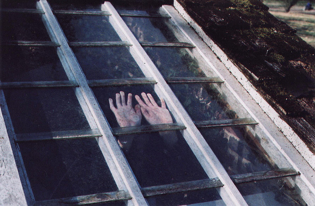 cuprikorn:  untitled by amanda pulley on Flickr.