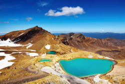 botanize:  this is in nz and i haven’t