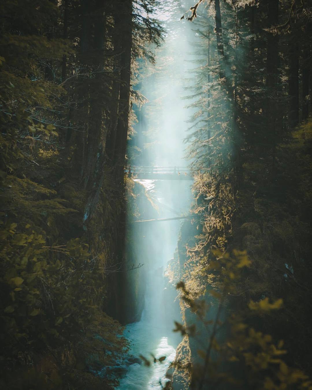earthlygallery:  “When you find places you’ve read about in a children’s fairytale” - Jamie Justus
