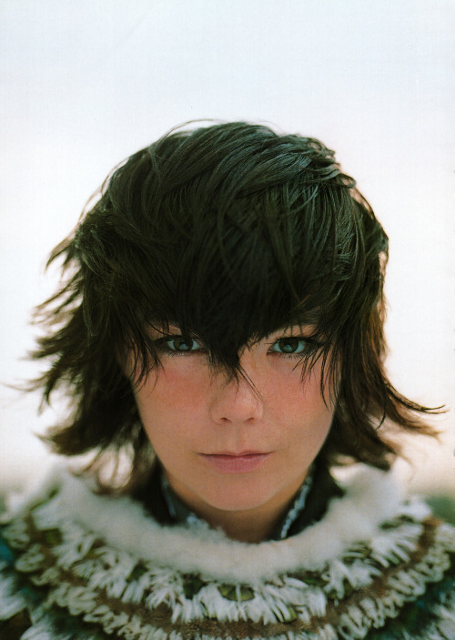 bjork is harsh noise