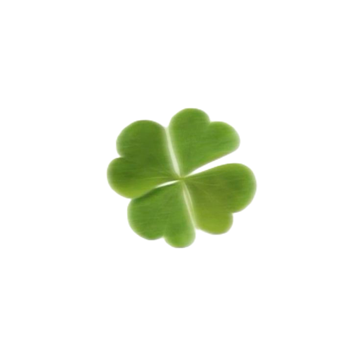 Clover 2
