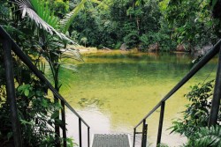 theadventurechild:    Jungle/tropical blog  