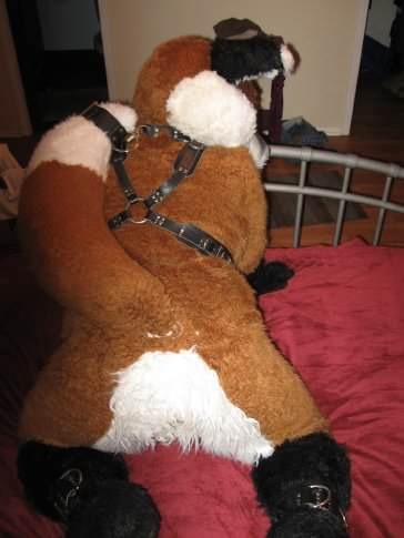 Here’s a sexy fox for ya. ;P