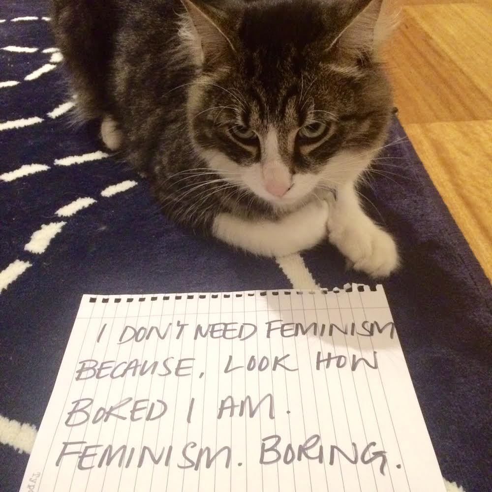Love Oliver. I own things.
–
Reader submission. Confused Cats Against Feminism is brought to you by We Hunted the Mammoth, and by YOUR KITTIES. Submit!  And buy crap at the Confused Cats Store! It’s for charity!