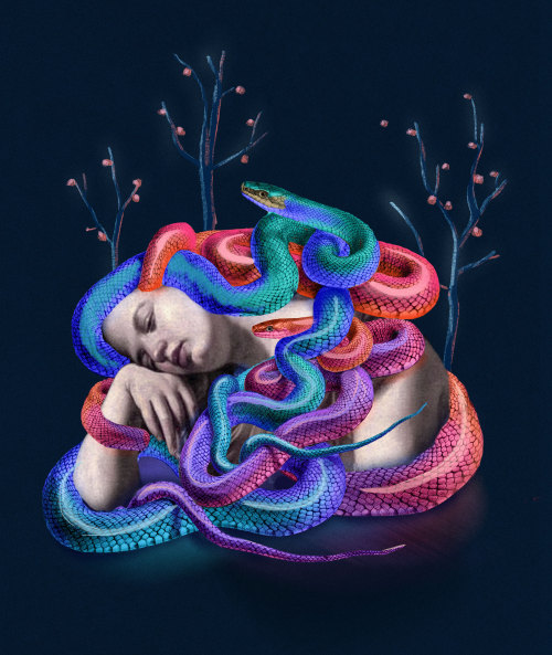 sleeping medusa