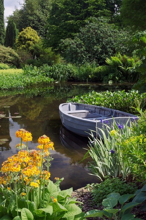 yellowrose543: Water in English Gardens (11 of 33) | Beth Chatto Gardens, Essex, UK. Flickr.com
