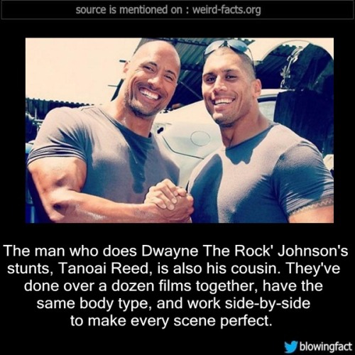 mindblowingfactz:    The man who does Dwayne The Rock’ Johnson’s stunts, Tanoai Reed, is also his cousin. They’ve done over a dozen films together, have the same body type, and work side-by-side to make every scene perfect -Source