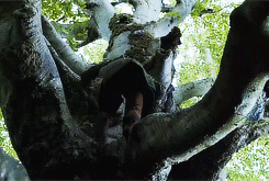 aegors-blog:  game of thrones + faceless 