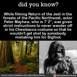 did-you-kno: While filming Return of the