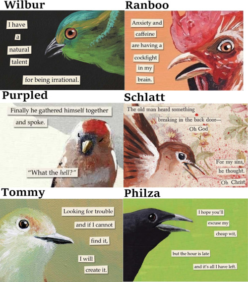 Dsmp Characters As Troubled Birds