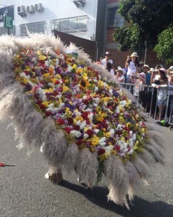 #Feriadeflores2017 #Desfiledelossilleteros #Medellin