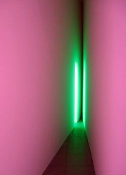   Dream Passage. Bruce Nauman  