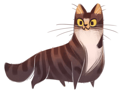 dailycatdrawings:329: Tabby