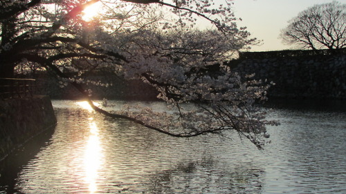 Some pics of the Himeji castle. I went there last Friday with my friends, it was super nice. Most ca